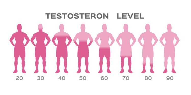 Testosteronspiegel sinkt im Alter